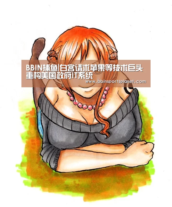 BBIN捕鱼|白宫请求苹果等技术巨头重构美国政府IT系统(图3) BBIN视讯