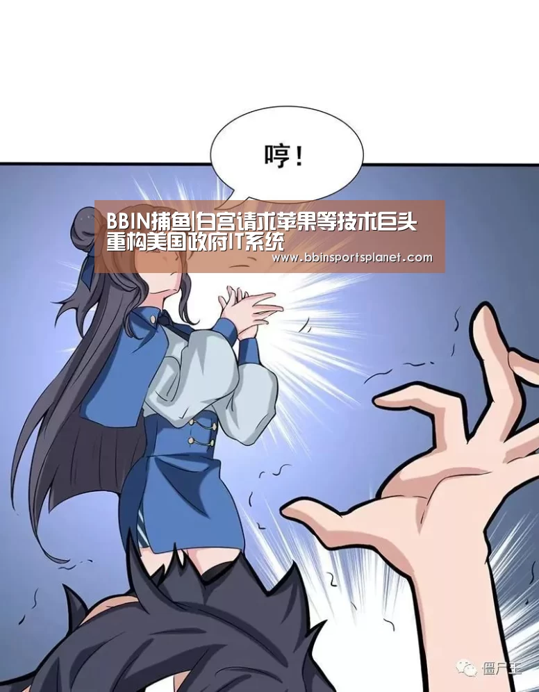 BBIN捕鱼|白宫请求苹果等技术巨头重构美国政府IT系统(图1) BBIN视讯