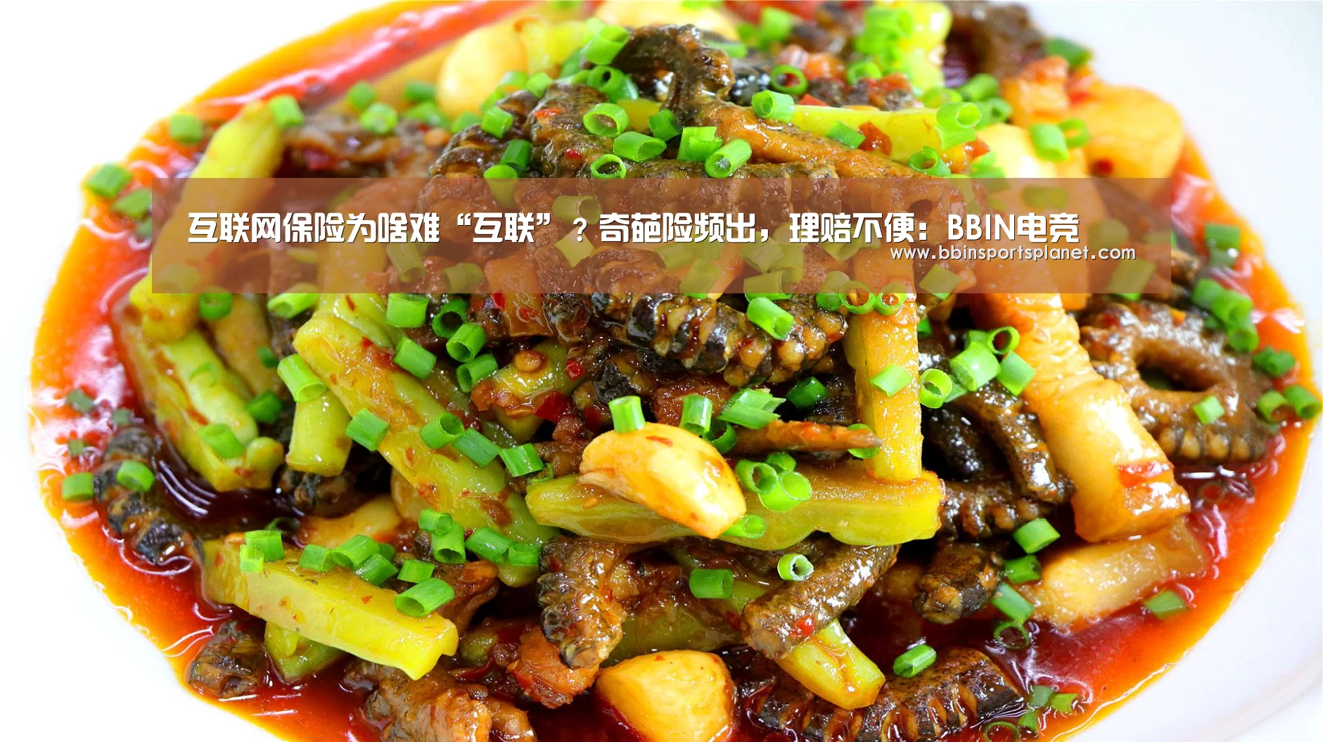互联网保险为啥难“互联”?奇葩险频出,理赔不便:BBIN电竞(图2) BBIN入口