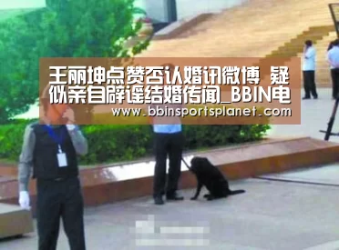 王丽坤点赞否认婚讯微博 疑似亲自辟谣结婚传闻_BBIN电竞(图2) BBIN电竞