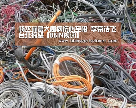 杨丞琳爱犬患病伤心至极 李荣浩飞台北探望【BBIN视讯】(图2) BBIN入口