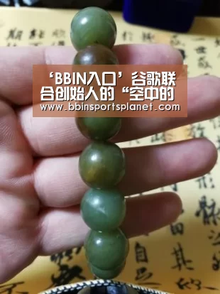 ‘BBIN入口’谷歌联合创始人的“空中的士”上天，在新西兰冲