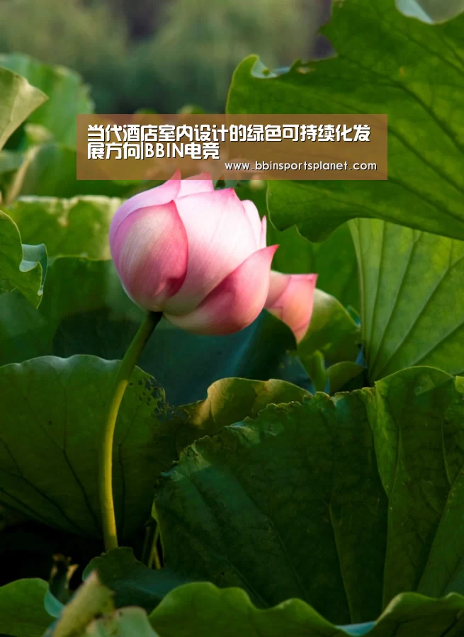 当代酒店室内设计的绿色可持续化发展方向|BBIN电竞(图1) BBIN视讯